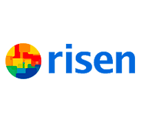 Сонячні панелі RISEN