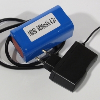 Аккумулятор и ЗУ к фарам F1