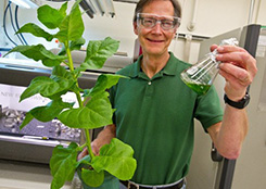 Aviatoplivo iz tabaka