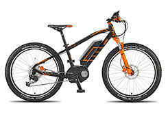 KTM-Macina-Mini-Me