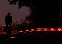 Lampochki-zagorelis-blagodarja-processu-fotosinteza