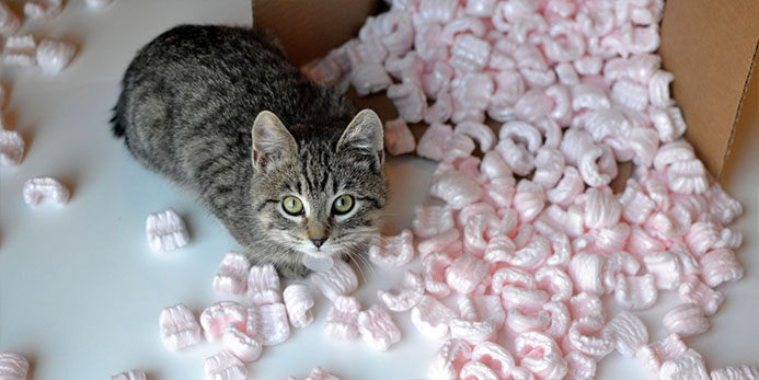 Litievye-akkumuljatory-iz-polistirena-1