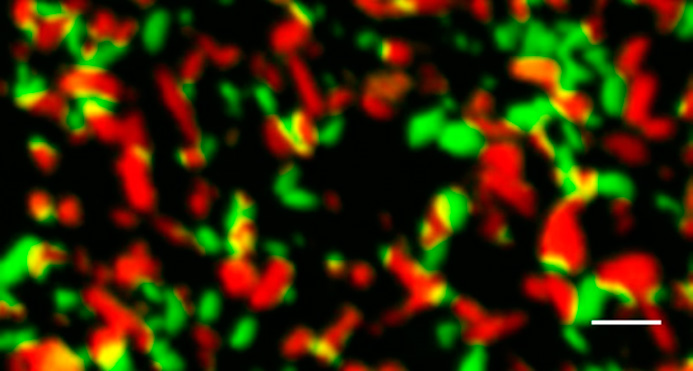 akym-lit-butra-zariadka-2