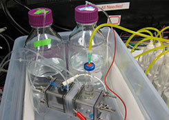 electrichestvo-iz-solinoi-vodi