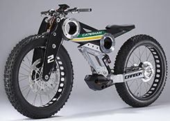 Сarbon E-Bike